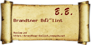 Brandtner Bálint névjegykártya